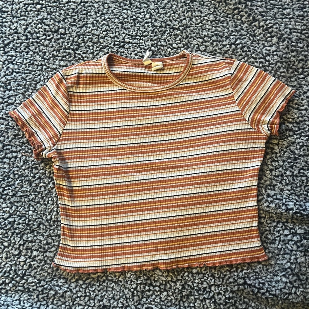 Sky and Sparrow Multicolor Striped Crop Top